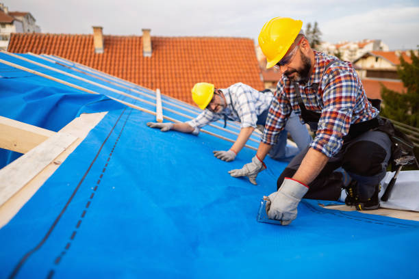 Best Rubber Roofing (EPDM, TPO)  in Judson, SC