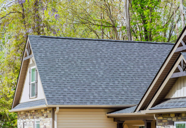 Best Solar Panel Roofing Installation  in Judson, SC